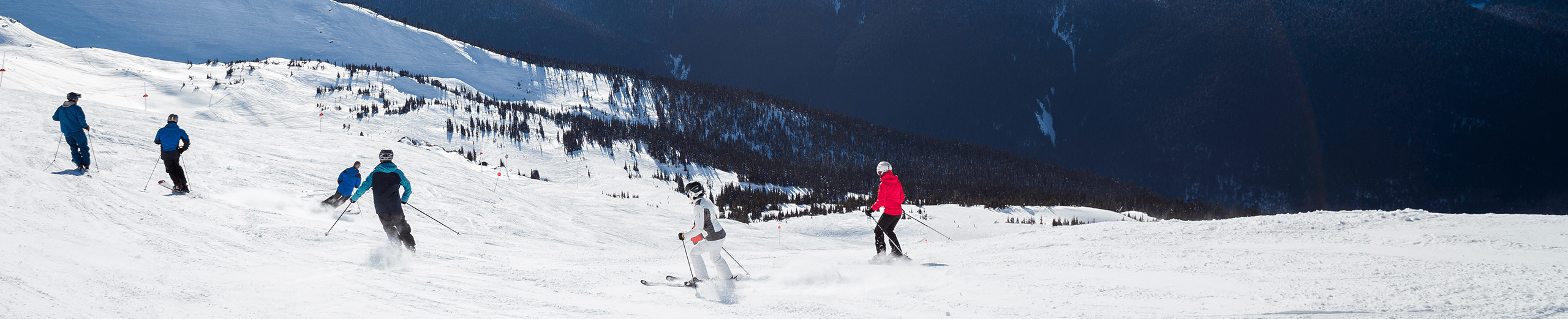 Case Study: A group skiers on a mountain.